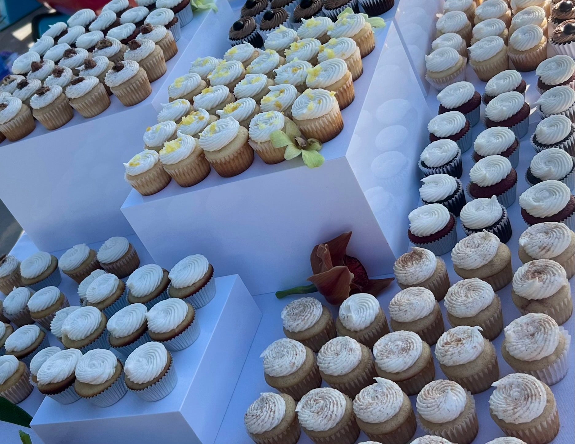 Mini Cupcakes - Per Dozen